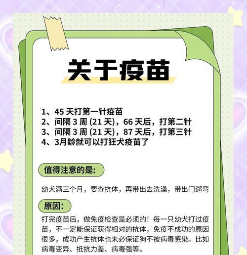 狗狗打疫苗的时间表（了解狗狗的疫苗接种时间是保护它们健康的关键）