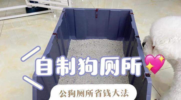 公狗尿带血的原因及处理方法（保护你的公犬健康，避免尿血症的发生）