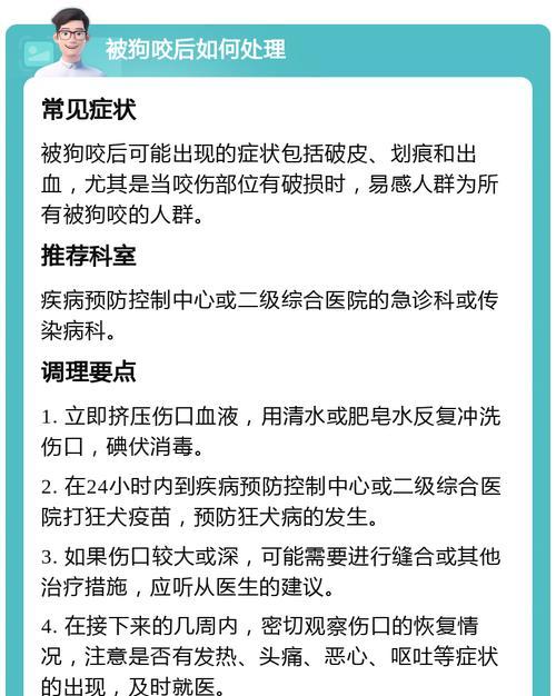 狗狗咬伤后的紧急处理措施（如何处理狗狗咬伤的轻微出血情况）