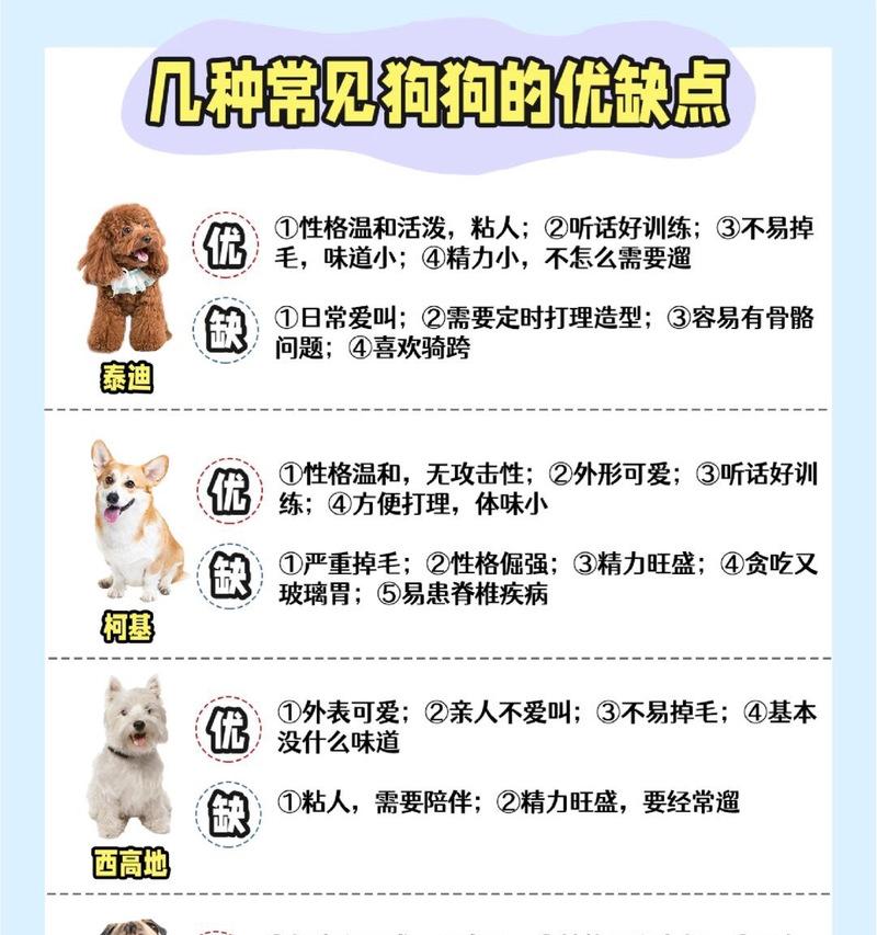 泰迪狗趾尖炎的治愈时间和方法（治疗泰迪狗趾尖炎的关键是及早发现和综合治疗）