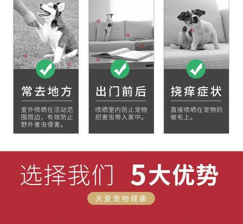 狗狗如何选择合适的跳蚤圈？（以狗狗多久可以带跳蚤圈为主题的细致讨论）