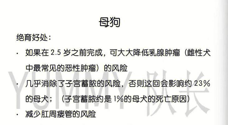 母狗绝育后的恢复时间及注意事项（了解母狗绝育术后的恢复期，照顾好你的爱宠）
