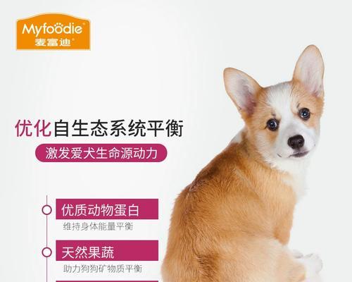 幼犬泰迪的饲养方式（养狗初学者必读，为您的泰迪宝宝提供健康饮食！）