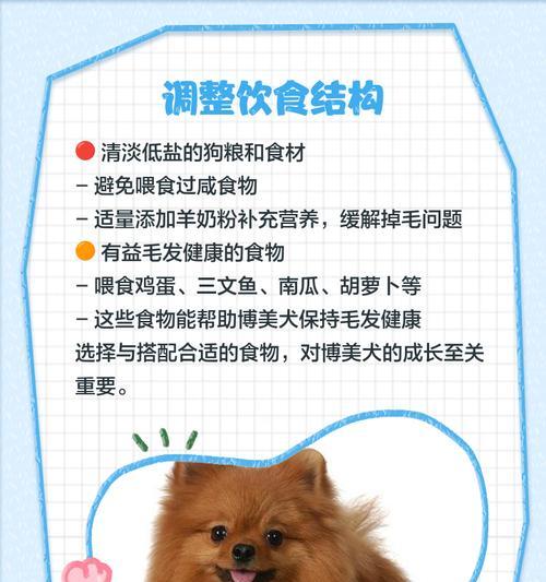 博美剪毛后多久才能长出来？（了解博美剪毛后毛发再生周期及护理方法）