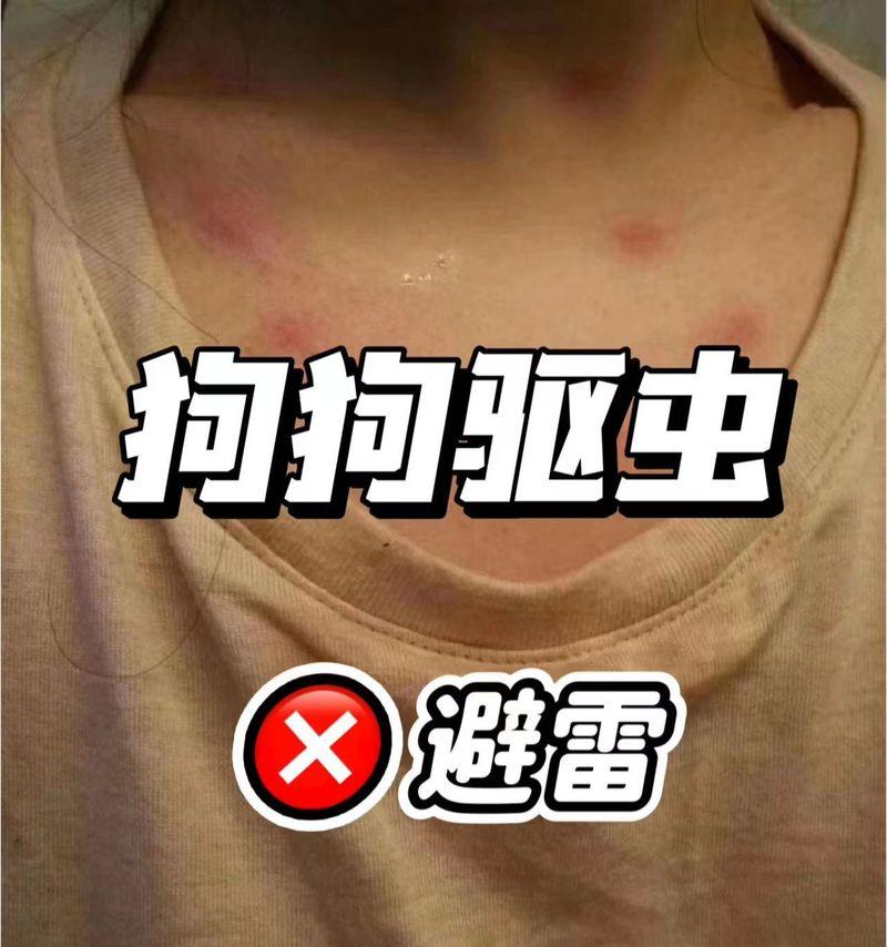 家庭狗狗驱除跳蚤的几个偏方（用自然方法保护你的狗狗免受跳蚤侵扰）