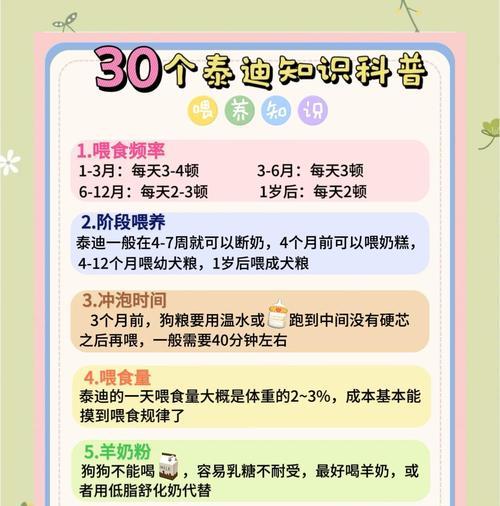 养好泰迪，避免4个饮食禁忌（给泰迪提供健康饮食，关键是这4个要点）