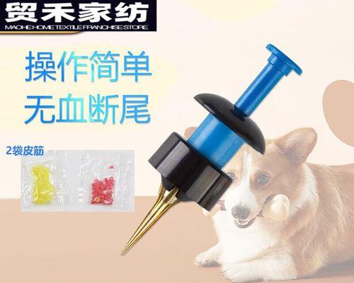 雪纳瑞断尾的最佳时间及持续时间（为什么要在7天内进行断尾？断尾对犬只有何种影响？）