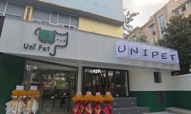 探索宠物店的多样化主题（从文艺小店到科技前沿，探寻宠物店主题的多彩世界）