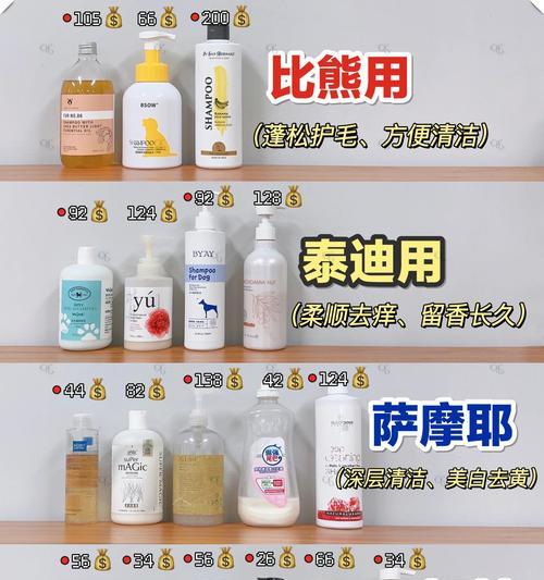 泰迪犬洗澡的误区与讲究（揭秘泰迪犬洗澡的正确方法，避免常见误区）