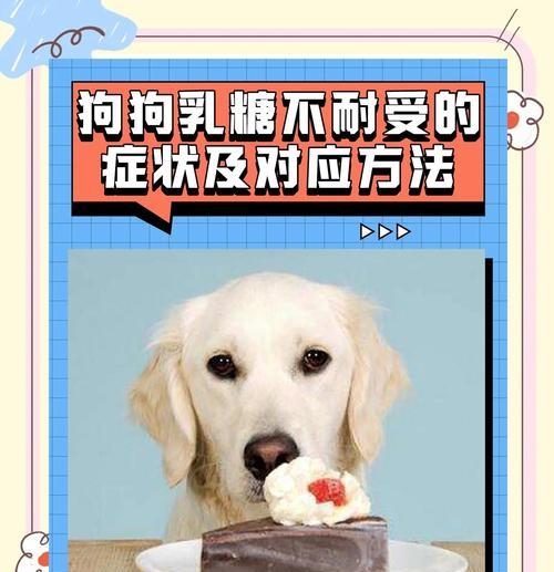 狗狗能喝牛奶吗？解析牛奶对狗狗的影响（为什么大部分的狗狗喝牛奶会产生腹泻的反应？）