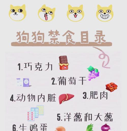 一个月大的狗狗的饮食需求（了解狗狗饮食禁忌，给宝贝健康成长）