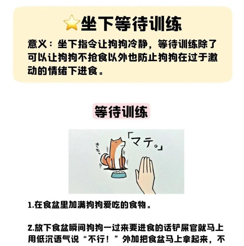 狗狗的记忆有多久？（探讨狗狗记忆的时间跨度及其影响因素）