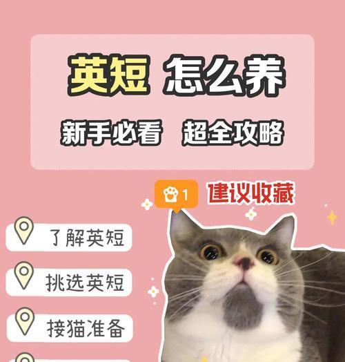 如何科学地给英短洗澡？（以养英短多久可以洗澡？）