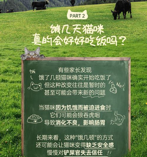 猫咪挑食问题解决方法（如何帮助猫咪摆脱挑食习惯）