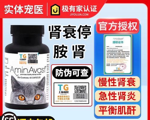 慢性肾病的猫咪能活多久？（探索猫咪慢性肾病对寿命的影响及关键因素）
