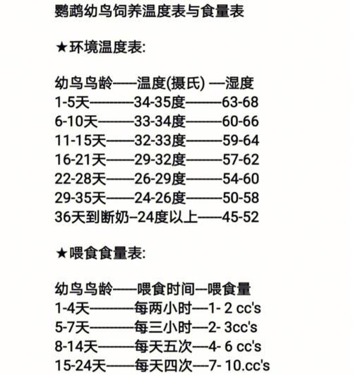 雏鸟鹦鹉的养育之道（喂养8点须知，让雏鸟健康成长）