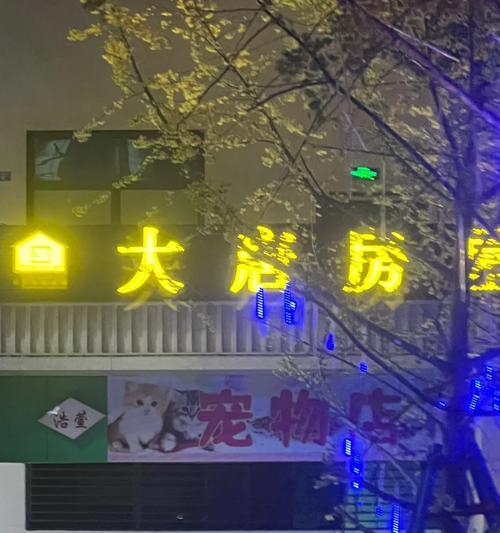 黄村的狗狗宠物店盛况如何？（探索黄村的狗狗宠物店，发现宠物爱好者的天堂）