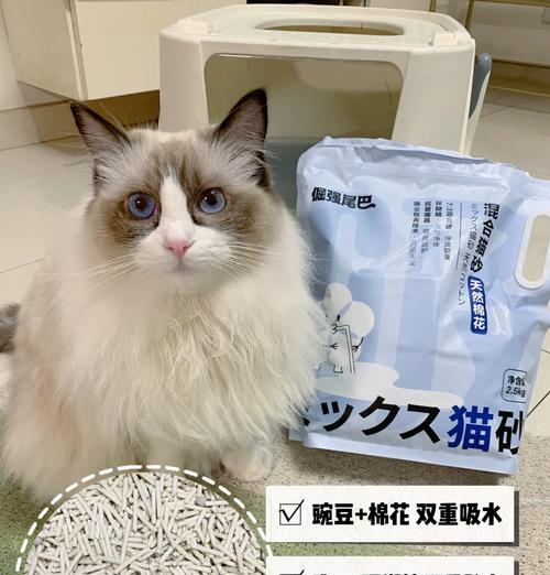 猫咪的寿命有多长？（探索猫咪生命的长短及影响因素）