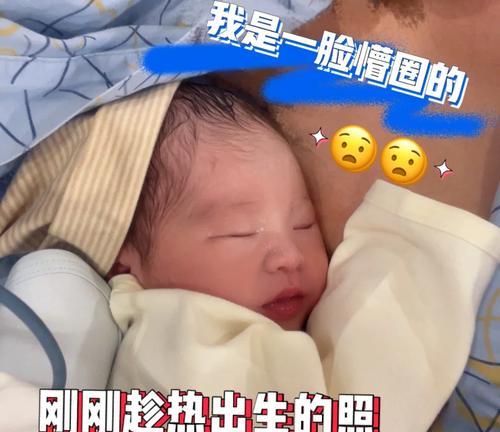 狗狗月子期（探索狗狗月子期的重要性和持续时间）