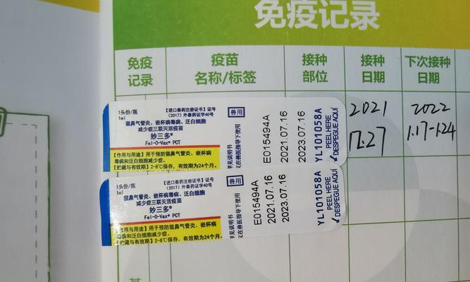 驱虫后多久能打疫苗？（解答你的疑惑，保护你的健康）