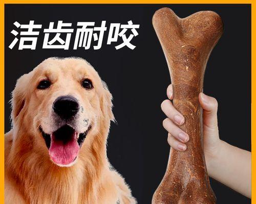 小狗磨牙棒的最佳使用时间和方法（让小狗拥有健康牙齿的秘诀）