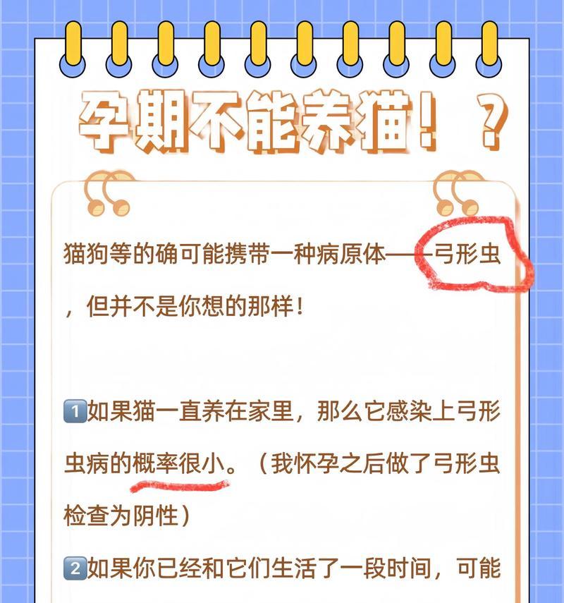 怀孕多久后不用再查弓形虫？（了解你和宝宝的安全期限）