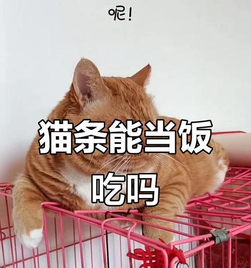 喂养猫咪的鸡胸肉规律剖析（每天合理喂养，关爱你的爱宠）