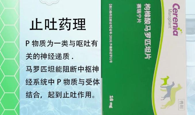 了解猫胃药的类型和使用方法（一站式指南，帮你解决猫咪胃病问题）