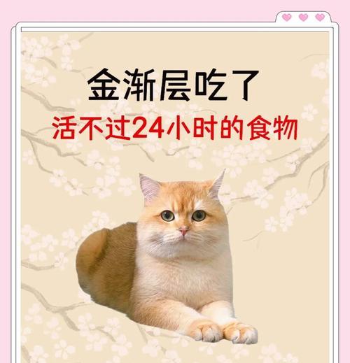 猫咪的禁食之道（保护你家猫咪的健康，远离这些不宜食用的食物）