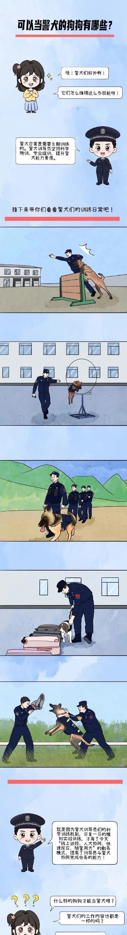养警犬的好处（拥有忠诚助手，让生活更安全）