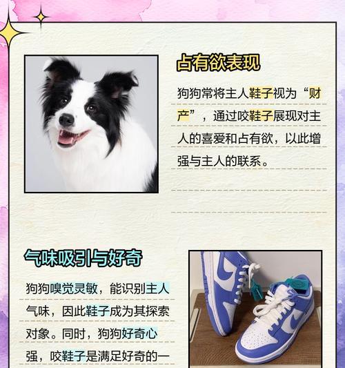 狗狗穿鞋子需要适应的时间长短（探究狗狗适应穿鞋子所需的时间及相关因素）