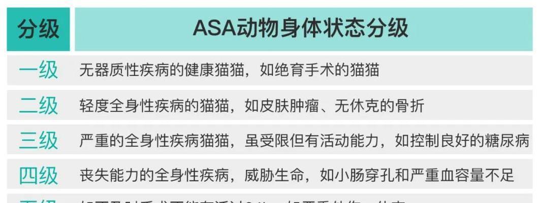 猫咪手术过程及清醒时间解析（猫咪手术的关键因素以及清醒时间如何控制）