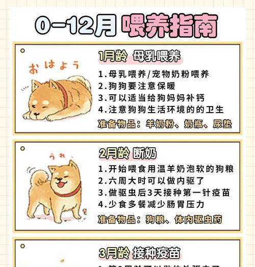 狗狗产后乳汁不足怎么办？（喂养狗狗产后乳汁不足的解决方法）