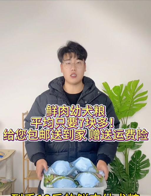 正确饲养金毛的关键（掌握金毛狗粮喂养的要点，让您的爱宠健康成长）
