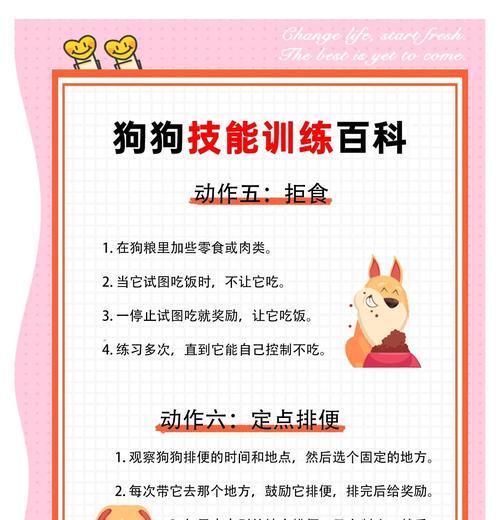 如何有效训练杜高猎犬（注意事项与关键技巧）