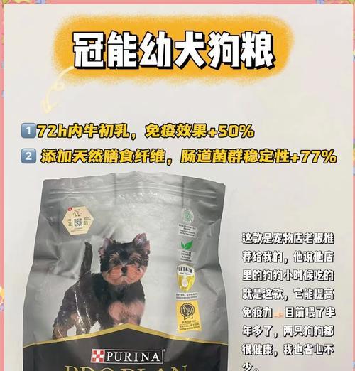 比熊狗狗的饮食需要（为你的比熊宝宝选择最佳狗粮，让它健康快乐成长）