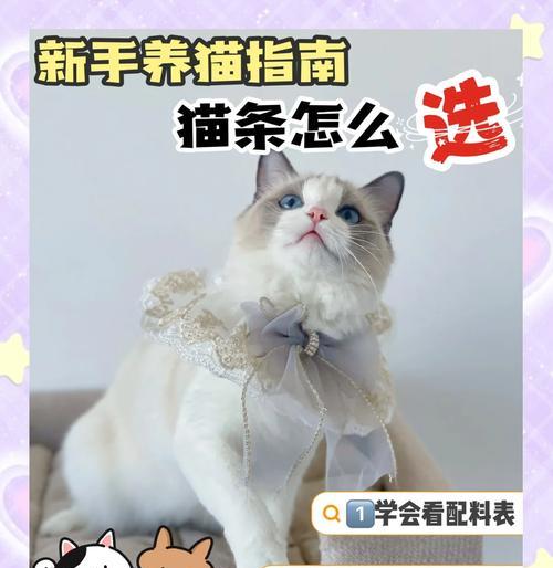 猫的饮食习惯（探究猫咪为何只需少量肉类以及肉类摄入的最佳频率）