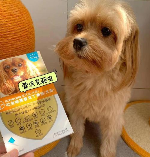 全面了解狗狗滴剂驱虫药的种类和使用方法
