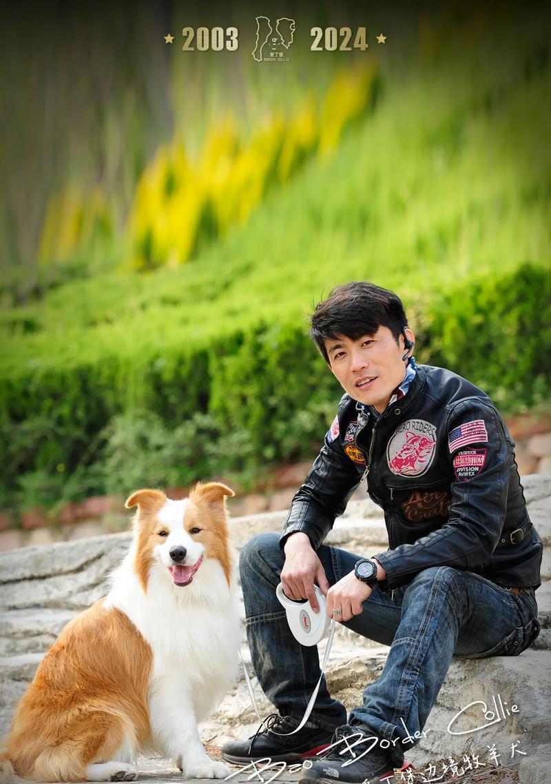 边境牧羊犬品种大揭秘（探索边境牧羊犬的多样性和特点）