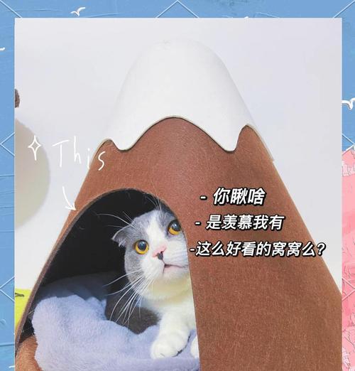 猫咪找窝的时间和行为特点（了解猫咪找窝行为的重要性）