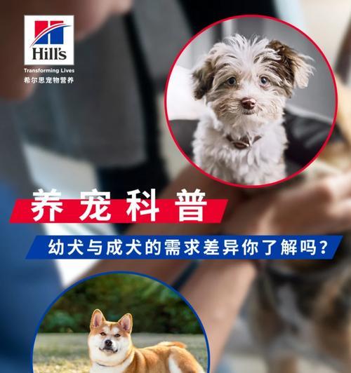 狗狗营养过剩的危害及预防措施（营养过剩引发的健康问题，如何合理饲养宠物狗）