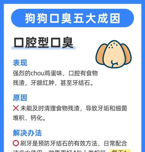 如何简单有效地治疗狗狗口臭（掌握4个简单方法，让你的爱犬再次拥有清新的呼吸）