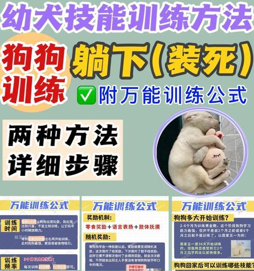 狗拉屎所需时间的探究（揭开狗狗大小便之谜，解密拉屎速度）