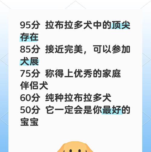 如何正确挑选拉布拉多犬？（九个关键要点助你选到理想的宠物）