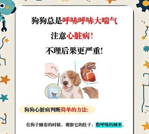 狗狗患上心脏病后能活多久？（探究狗狗心脏病对寿命的影响及延长寿命的方法）
