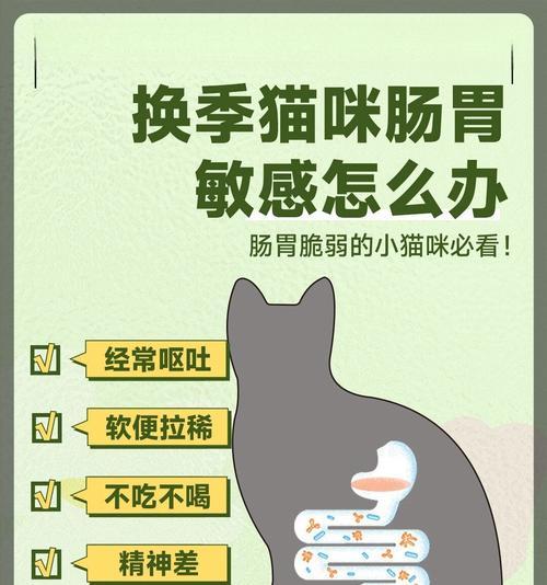 猫肠胃敏感饮食指南（了解猫肠胃敏感，提供适宜食物建议）