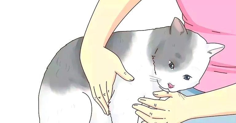 如何准确测量猫咪的体温？（学会正确的猫咪体温测量方法，保护宠物健康）