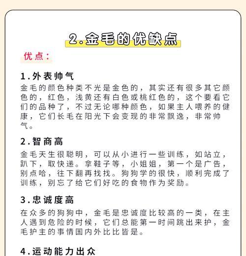 选择养金毛的性别（探讨选择养金毛性别的原因以及对应的优势和考量）