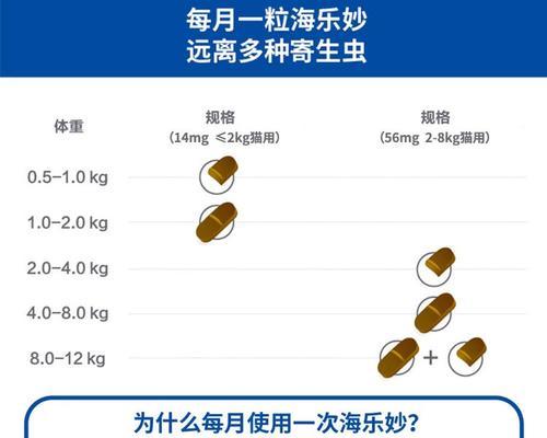 猫咪最爱的体内驱虫药大揭秘（了解猫咪喜欢吃的体内驱虫药品种及功效，守护它们的健康）