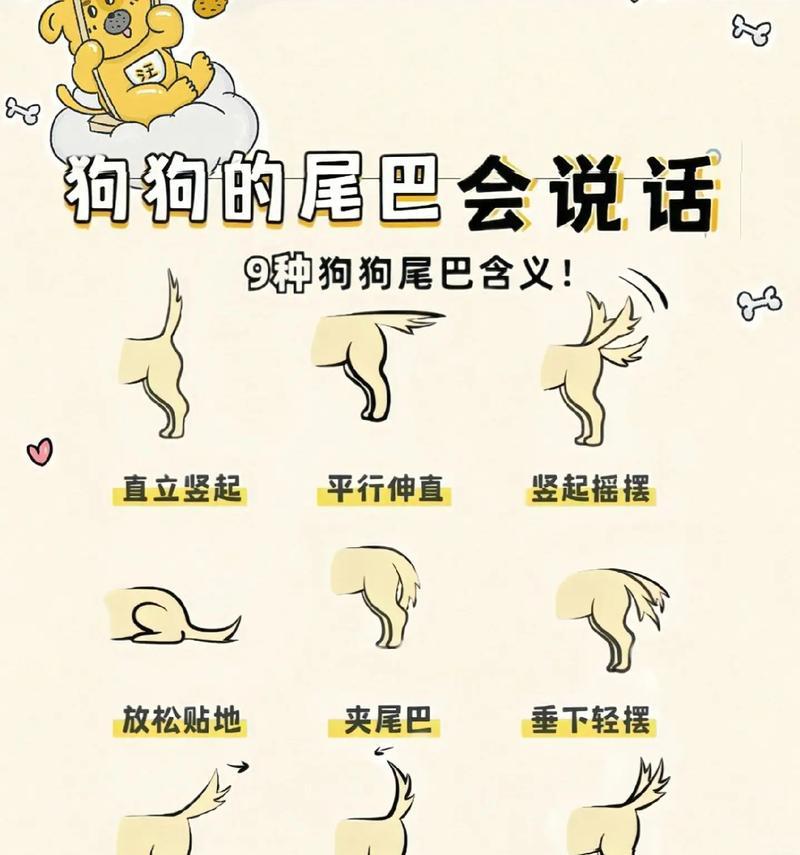 狗狗咬自己腿尾原因解析（探究狗狗咬自己腿尾的5大主要原因）